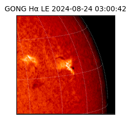 gong - 2024-08-24T03:00:42