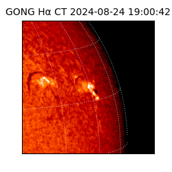 gong - 2024-08-24T19:00:42