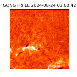 gong - 2024-08-24T03:00:42