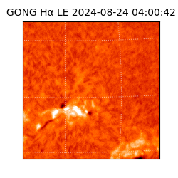 gong - 2024-08-24T04:00:42