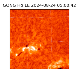 gong - 2024-08-24T05:00:42