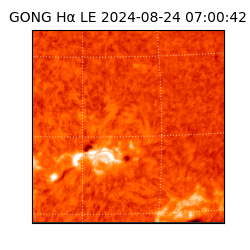 gong - 2024-08-24T07:00:42