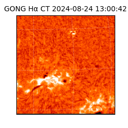 gong - 2024-08-24T13:00:42