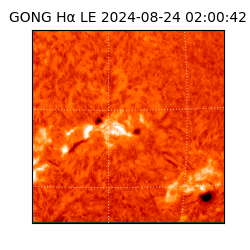 gong - 2024-08-24T02:00:42
