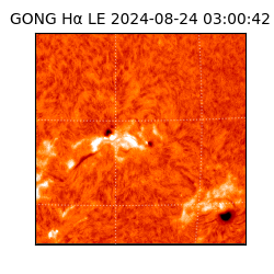 gong - 2024-08-24T03:00:42