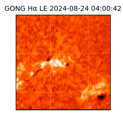 gong - 2024-08-24T04:00:42