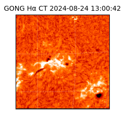 gong - 2024-08-24T13:00:42