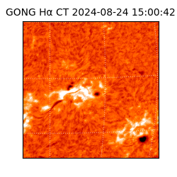 gong - 2024-08-24T15:00:42