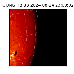 gong - 2024-08-24T23:00:02