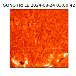 gong - 2024-08-24T03:00:42