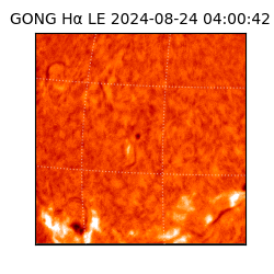 gong - 2024-08-24T04:00:42