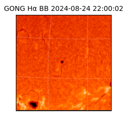 gong - 2024-08-24T22:00:02