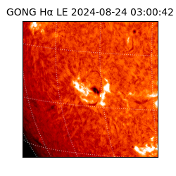 gong - 2024-08-24T03:00:42