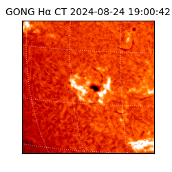 gong - 2024-08-24T19:00:42