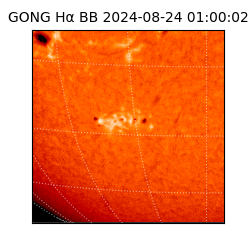 gong - 2024-08-24T01:00:02