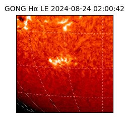gong - 2024-08-24T02:00:42