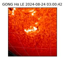 gong - 2024-08-24T03:00:42