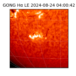 gong - 2024-08-24T04:00:42