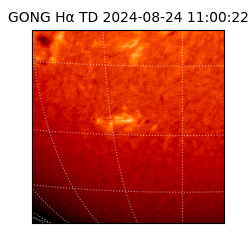 gong - 2024-08-24T11:00:22
