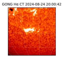gong - 2024-08-24T20:00:42