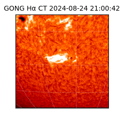 gong - 2024-08-24T21:00:42