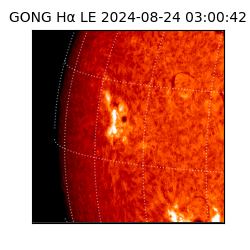 gong - 2024-08-24T03:00:42
