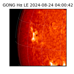 gong - 2024-08-24T04:00:42