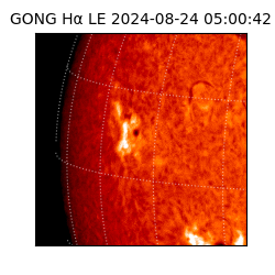 gong - 2024-08-24T05:00:42