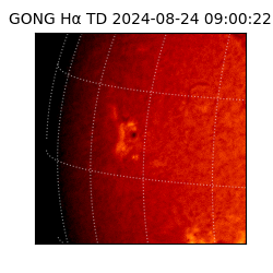 gong - 2024-08-24T09:00:22