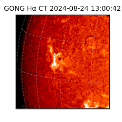 gong - 2024-08-24T13:00:42