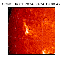 gong - 2024-08-24T19:00:42