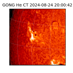 gong - 2024-08-24T20:00:42