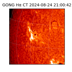 gong - 2024-08-24T21:00:42