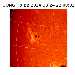 gong - 2024-08-24T22:00:02
