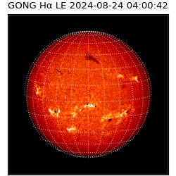 gong - 2024-08-24T04:00:42