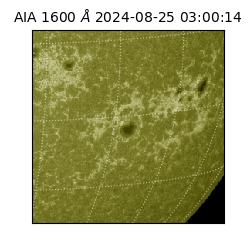 saia - 2024-08-25T03:00:14.126000
