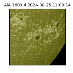 saia - 2024-08-25T11:00:14.133000