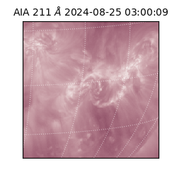 saia - 2024-08-25T03:00:09.631000