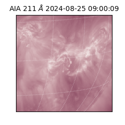 saia - 2024-08-25T09:00:09.634000