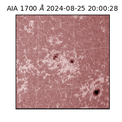 saia - 2024-08-25T20:00:28.717000
