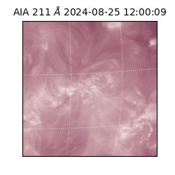 saia - 2024-08-25T12:00:09.632000