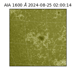 saia - 2024-08-25T02:00:14.126000