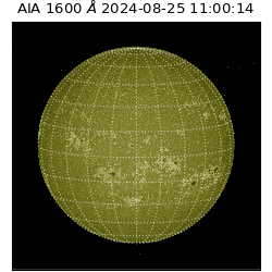 saia - 2024-08-25T11:00:14.133000
