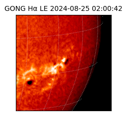gong - 2024-08-25T02:00:42