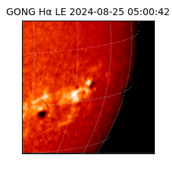 gong - 2024-08-25T05:00:42