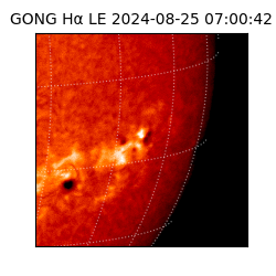 gong - 2024-08-25T07:00:42