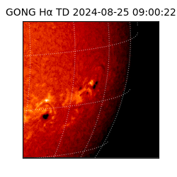 gong - 2024-08-25T09:00:22