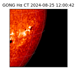 gong - 2024-08-25T12:00:42