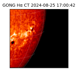 gong - 2024-08-25T17:00:42