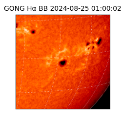 gong - 2024-08-25T01:00:02